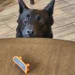 Photo of Atlee & Jack