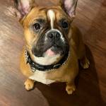 Photo of Vinny / King