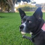 Photo of Carter Johnson