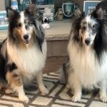 Photo of Reagan and Toby