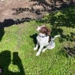 Photo of Oliver and Louie