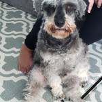 Photo of Louis & Bruno