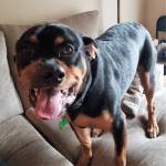 Photo of Tucker & Honey