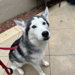 Photo of Clovie / Kira