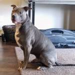 Photo of Jake, Jada & Brodie