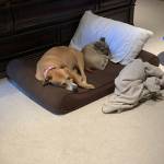 Photo of Jenna and jessi