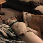 Photo of Parker & Jersey