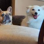 Photo of Elsa & Eloise