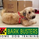 Photo of Molly & Katie