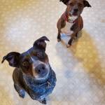 Photo of Birdie, Rider