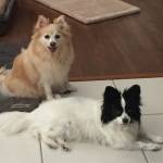 Photo of Carley,Gracie & Lucy