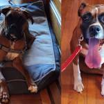 Photo of Axel & Bruno