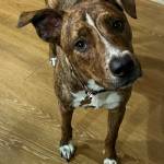 Photo of Kona / Kaia