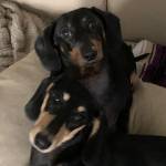 Photo of Mina and Mazey