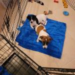 Photo of Winston & Willow