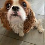 Photo of Amy Grace / Brandy Ann