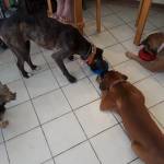 Photo of Candy and Pumpkin