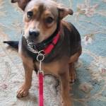 Photo of Fenway & London