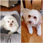 Photo of Lana & Kiki