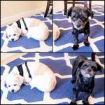 Photo of Becky & Vicky