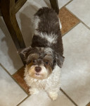 Photo of Hugo, Collin & Hannah