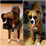 Photo of Bailey & Brady