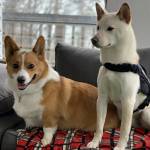 Photo of Ollie & Kenji