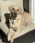 Photo of Carl