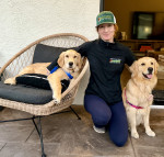 Photo of Mav + Dolly