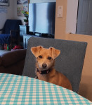 Photo of Teddy