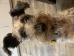 Photo of Rocket