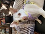 Photo of Bebe