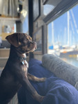 Photo of Gus