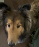 Photo of Dolly & Spencer 