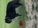 Photo of Omaka