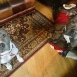 Photo of Carl and Violet