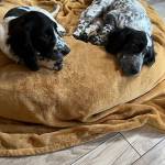 Photo of Walter / Abby