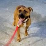 Photo of Gabby & Obi Juan