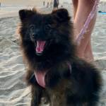 Photo of Billie and Becky