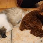 Photo of Happy & Cash