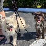 Photo of Henry & Pia