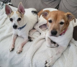 Photo of Vito & Francesca