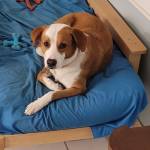 Photo of Chaka & Ginger