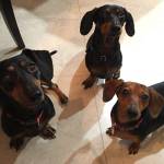 Photo of Nathan, Tommy & Nana