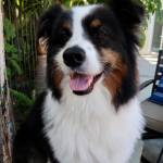 Photo of Turbo / Guinness