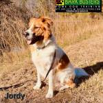Photo of Jordy
