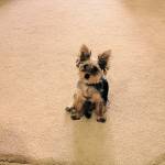 Photo of Cooper & Finn