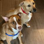 Photo of ELLA and TYBEE