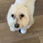 Photo of Maile and Zoe