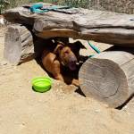 Photo of Brother Charles (Charlie)